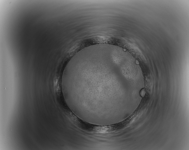 X0000097880131200803211342