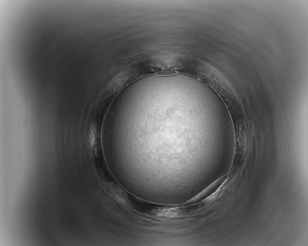 X0000097880132200803211342