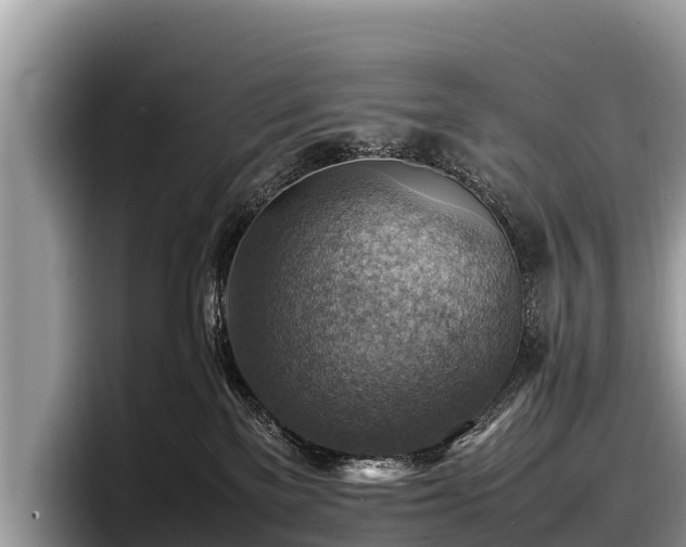 X0000097880137200803211342