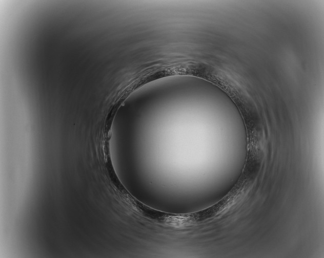 X0000097880139200803211342