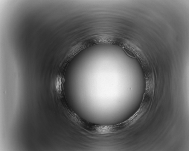 X0000097880142200803211342