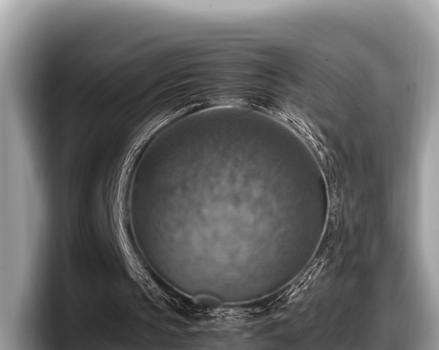 X0000097880145200803211341
