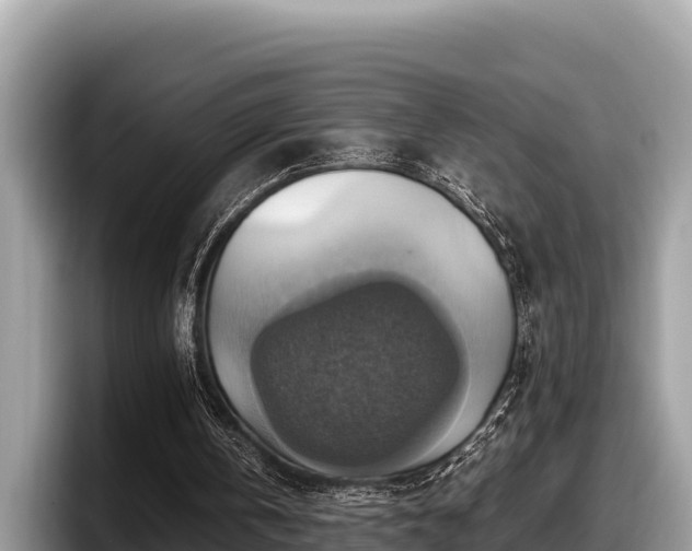 X0000097880146200803211341