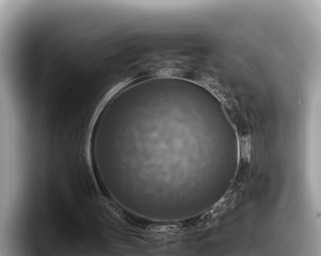 X0000097880147200803211341