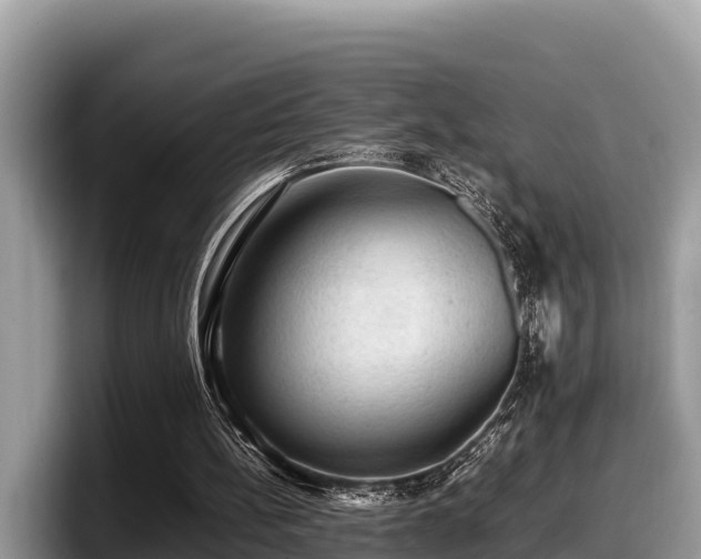 X0000097880148200803211341