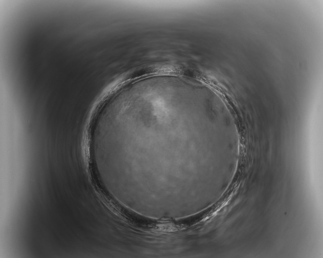 X0000097880149200803211341