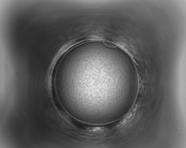 X0000097880151200803211341