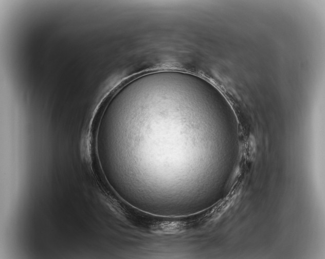 X0000097880152200803211341