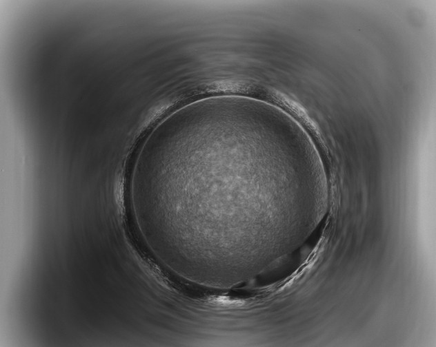 X0000097880154200803211341