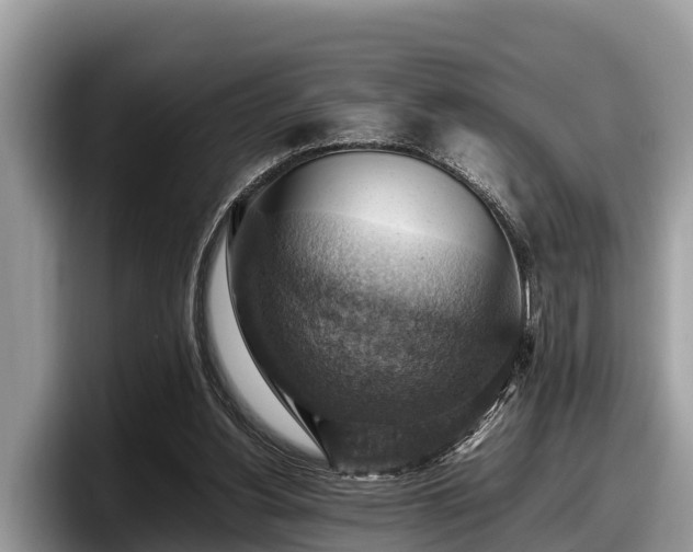 X0000097880156200803211341