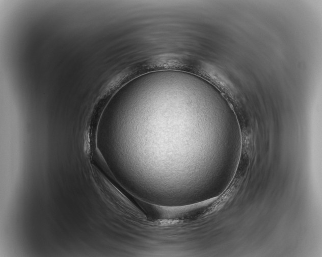X0000097880158200803211341