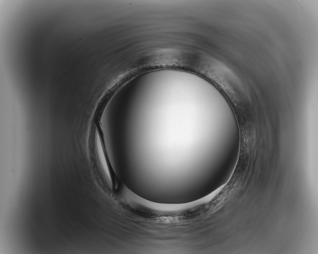 X0000097880160200803211341
