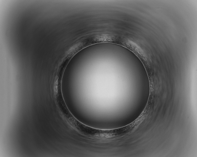 X0000097880163200803211341