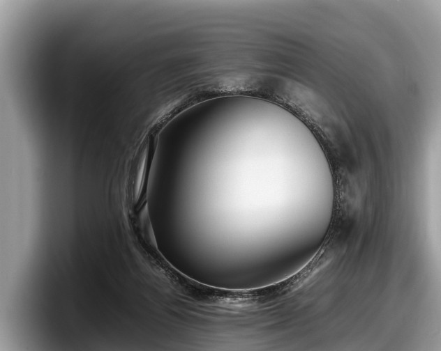 X0000097880164200803211341