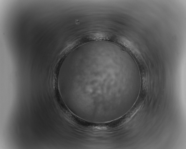 X0000097880165200803211341