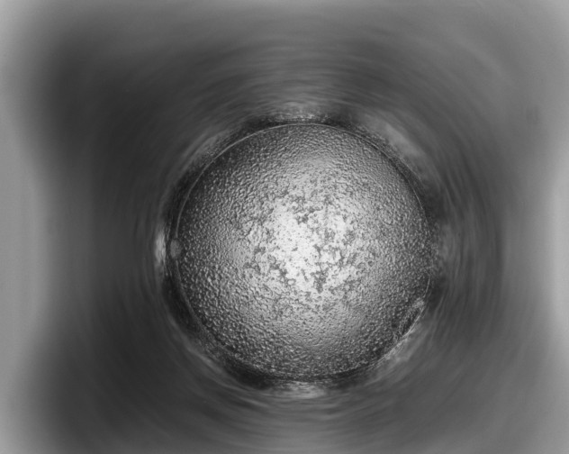 X0000097880166200803211341