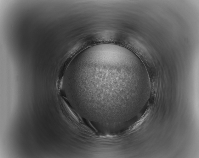 X0000097880168200803211341