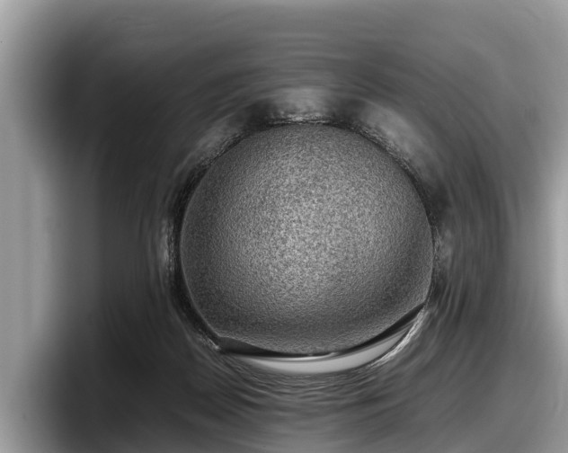 X0000097880170200803211341