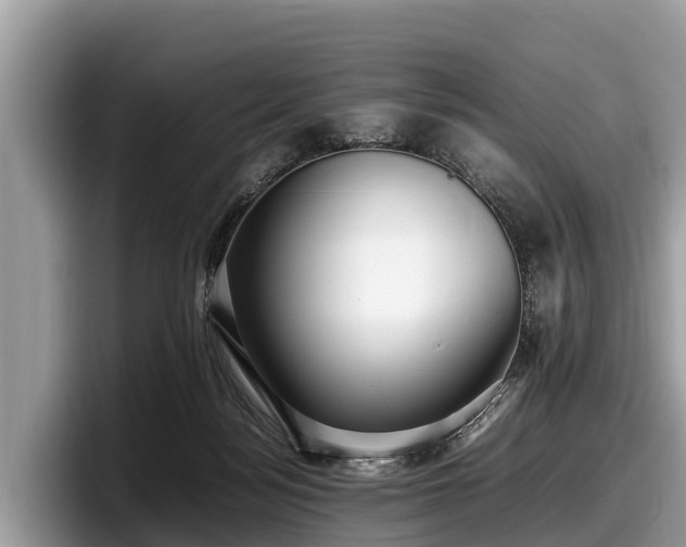 X0000097880172200803211341