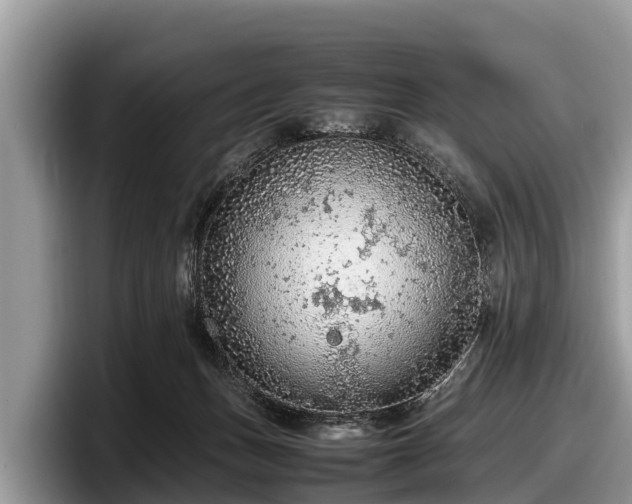 X0000097880175200803211341