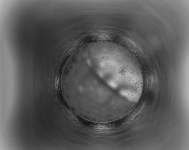 X0000097880177200803211341