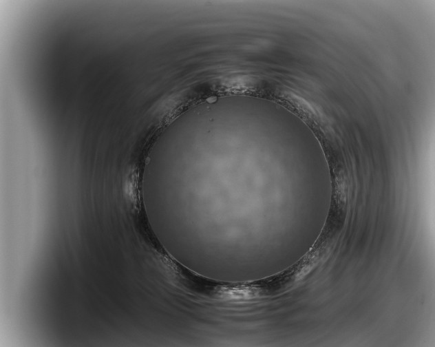 X0000097880181200803211341