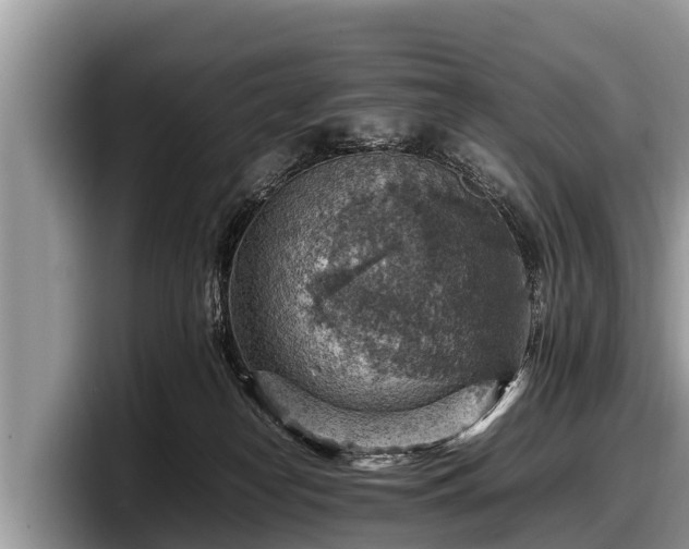 X0000097880182200803211341