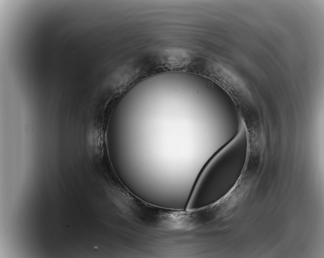 X0000097880184200803211341