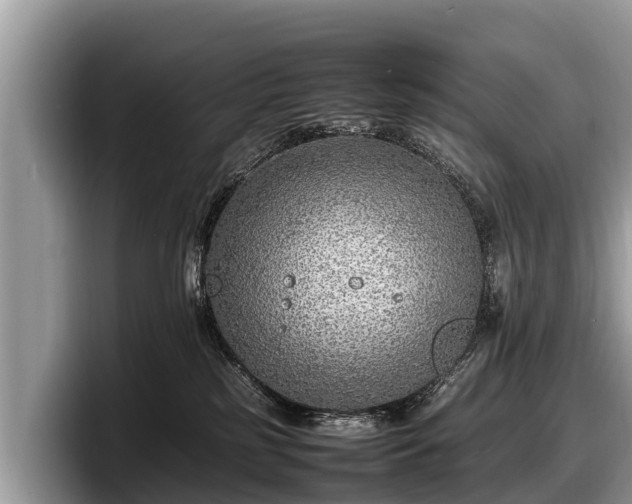 X0000097880185200803211341