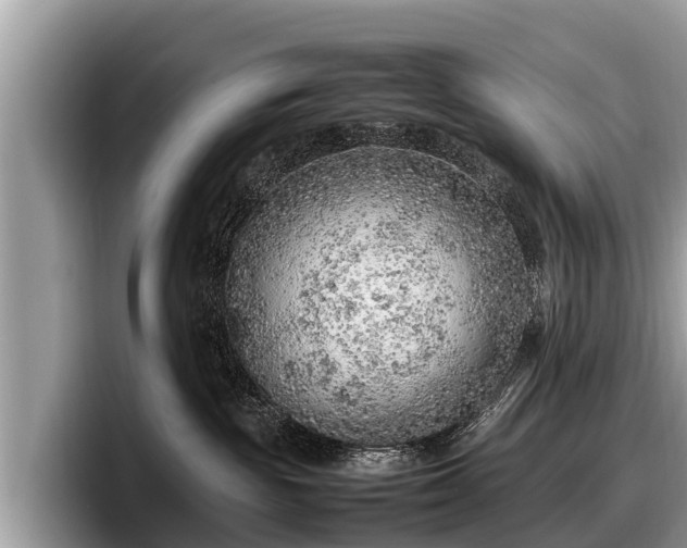 X0000097880189200803211341