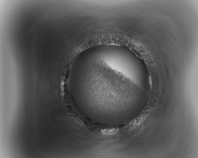 X0000097880192200803211341