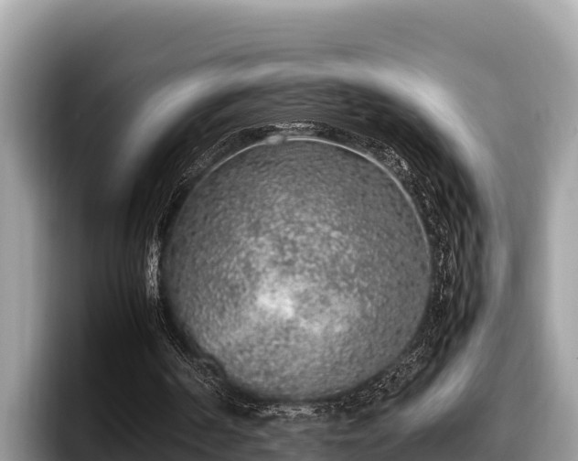 X0000097880194200803211341