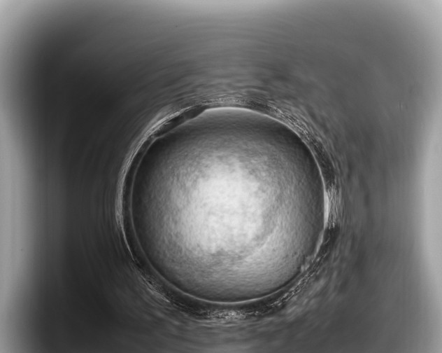 X0000097880195200803211341