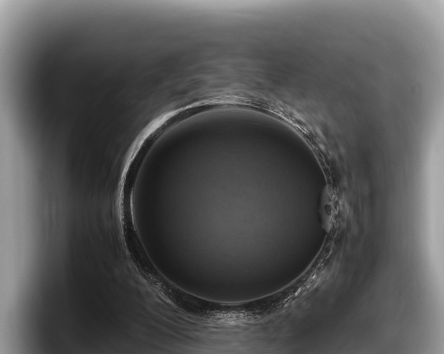 X0000097880200200803211341