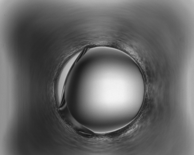 X0000097880201200803211341