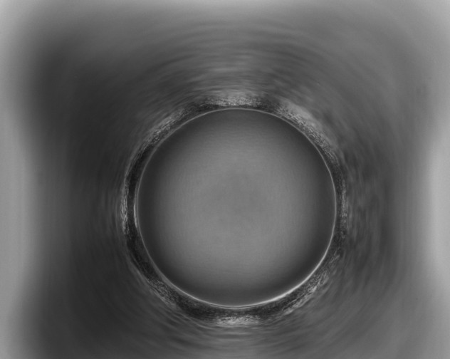 X0000097880202200803211341