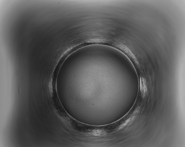 X0000097880204200803211341