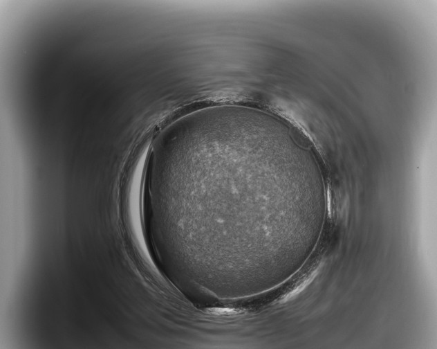 X0000097880205200803211341