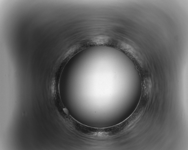 X0000097880212200803211341