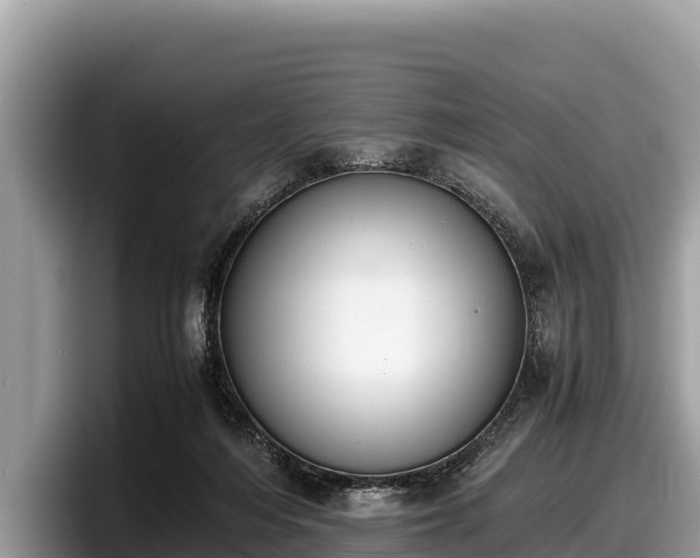 X0000097880216200803211341