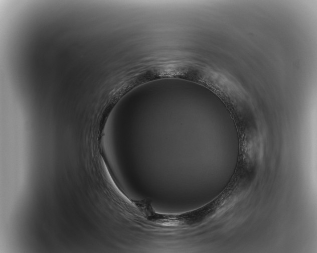 X0000097880219200803211341