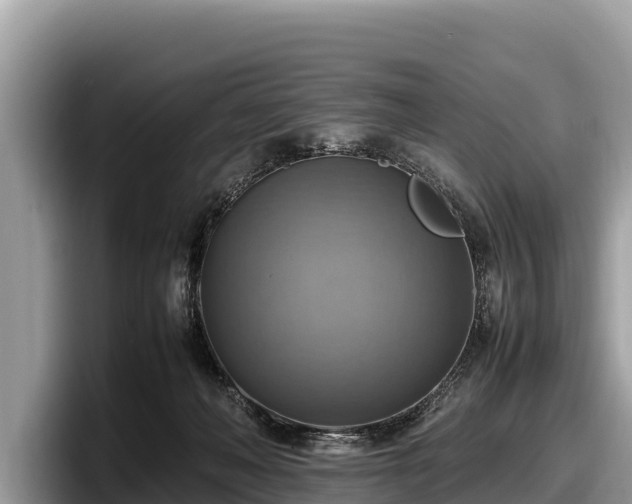 X0000097880222200803211340