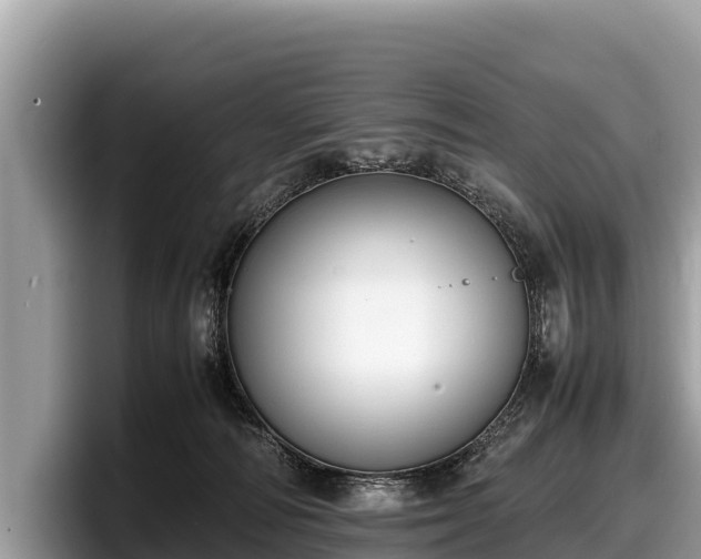 X0000097880226200803211340