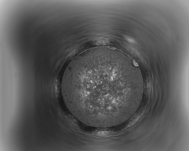 X0000097880228200803211340