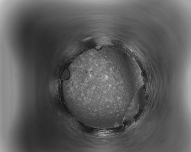 X0000097880229200803211340