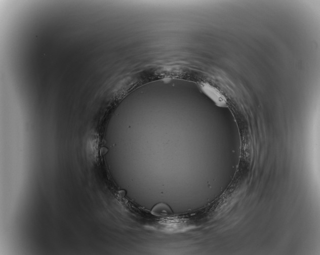 X0000097880231200803211340