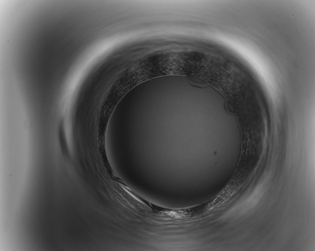X0000097880239200803211340