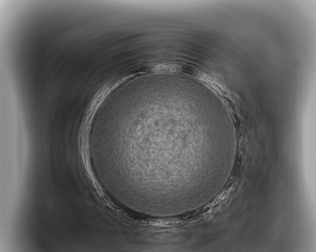 X0000097880241200803211340