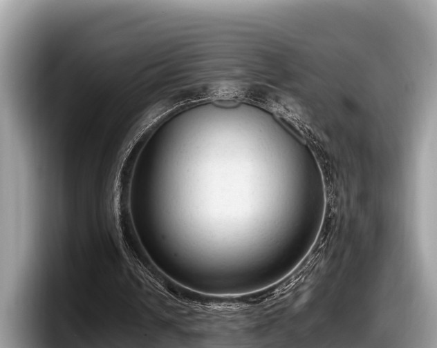 X0000097880242200803211340