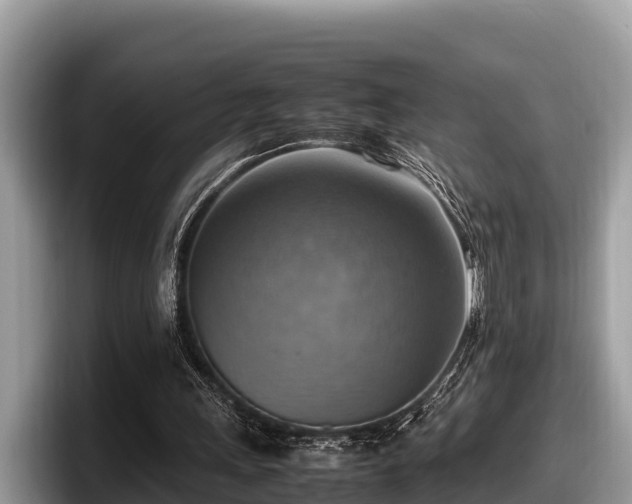 X0000097880243200803211340